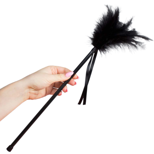 SECRETPLAY PLUMERO PLUMAS NEGRO 40CM