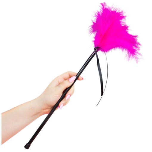 SECRETPLAY PLUMERO PLUMAS ROSA 40CM